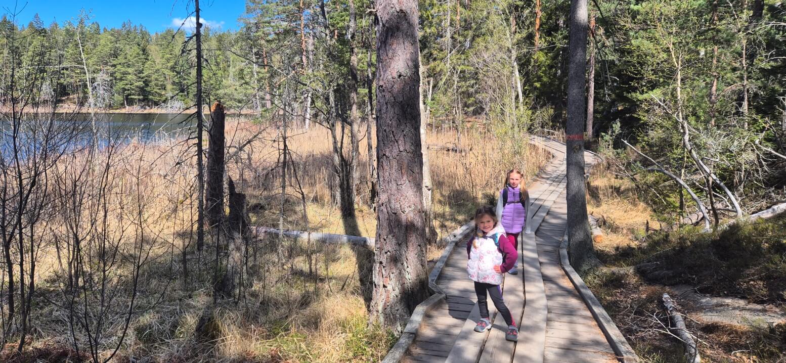 Met kinderen de natuur in in Zweden