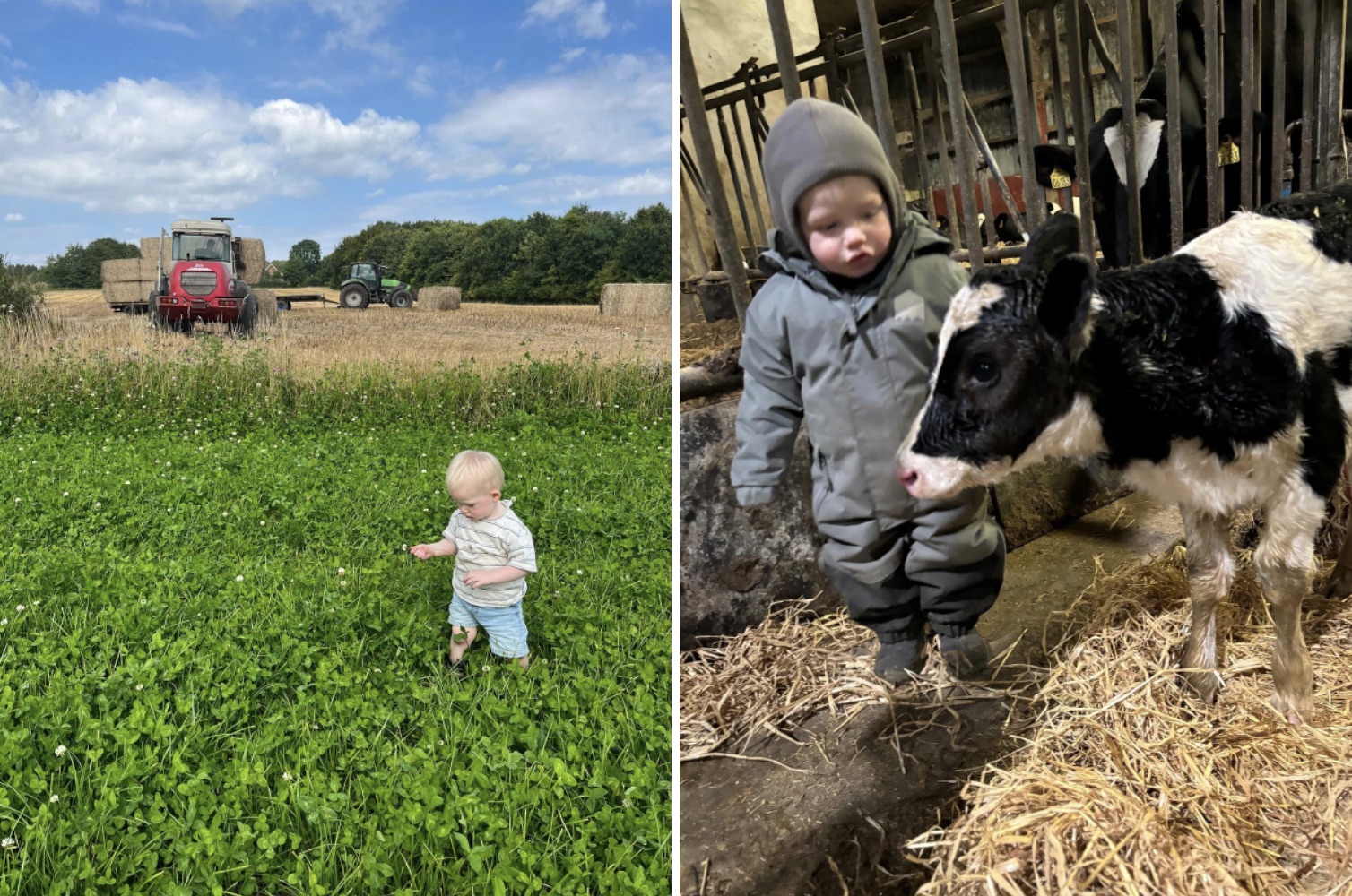 Ervaringen leven in Denemarken