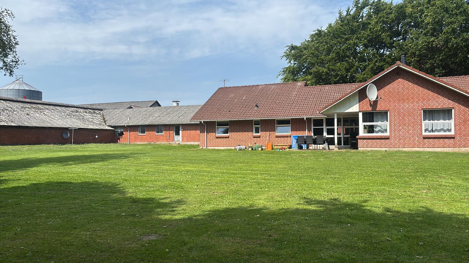 Nieuwe leven in Denemarken